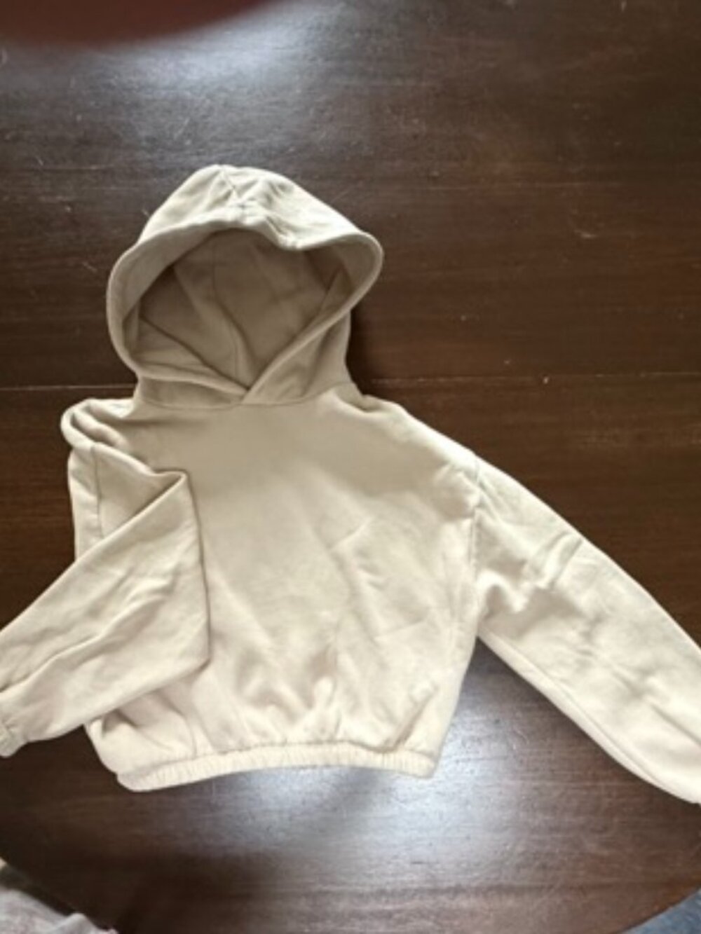 Zara Cropped Hoodie Size M